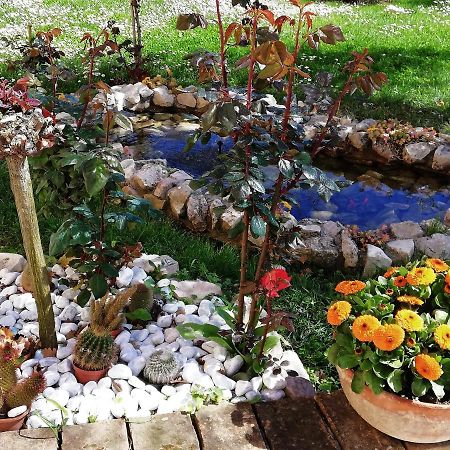 La Ginestra Panzió Sirolo Kültér fotó
